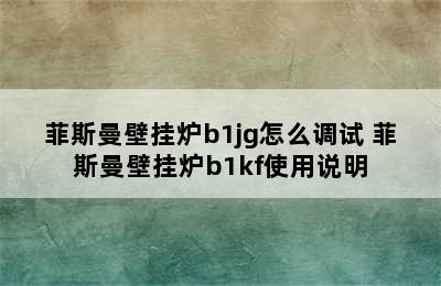 菲斯曼壁挂炉b1jg怎么调试 菲斯曼壁挂炉b1kf使用说明